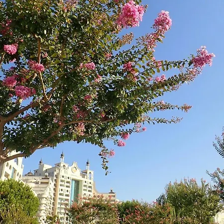 Private Penthouse With Seaview At Sunset 公寓 帕莫瑞
